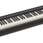 Roland FP-10 Digital Piano – Black